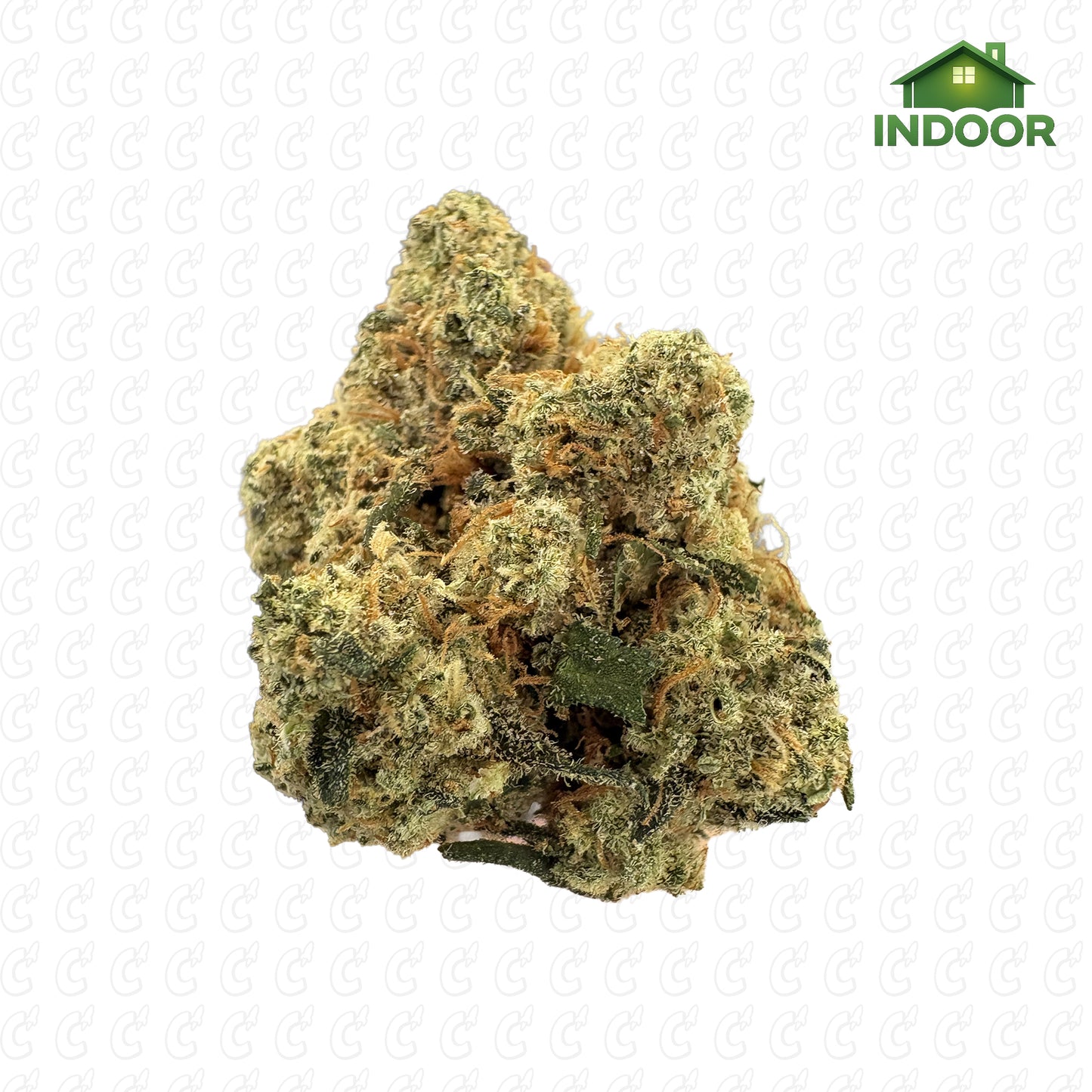 G13 CBD