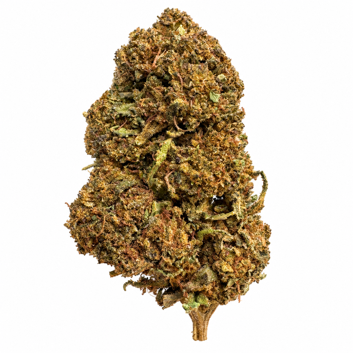 Snowfall CBD+