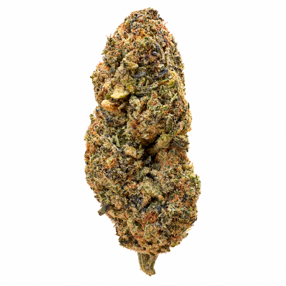 Bacio Gelato CBD+