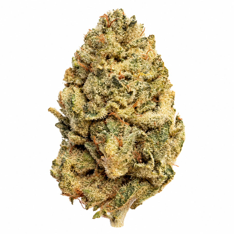 White banger CBD+