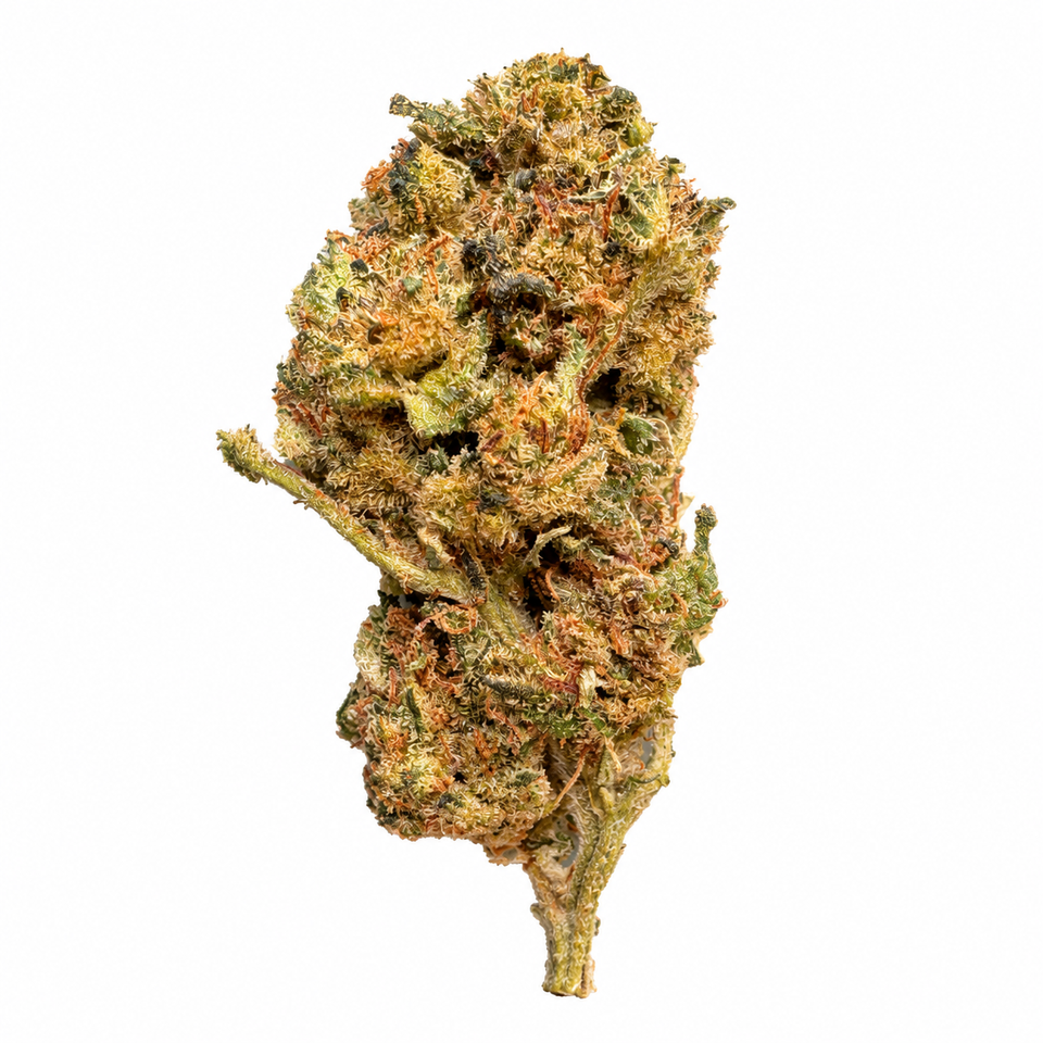 G13 2.0 CBD+