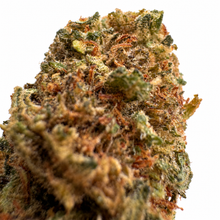G13 2.0 CBD+