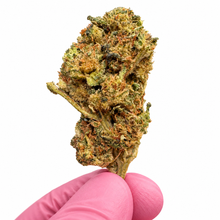G13 2.0 CBD+
